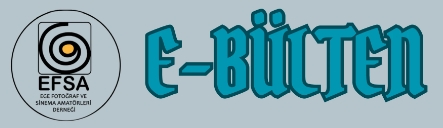 e-bülten